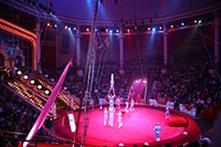 Bekijk details van Circus